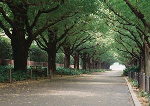 中国進出の際にはビジネス支援を利用する